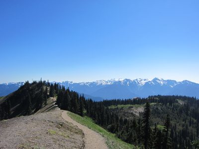 The photo of the High Ridge Trail was taken from just...