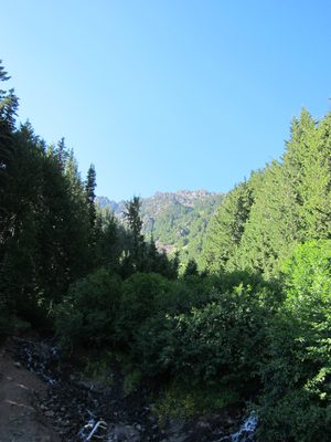 Looking up the canyon at the Switchback Trail head.