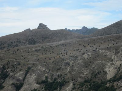 Also, note the downed trees and lack of vegetation, 30...