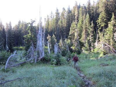 Terra hiking through the meadow.