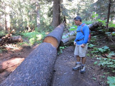 Andrew investigates some trail maintenance.