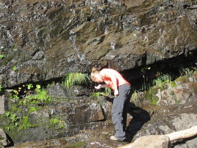 Halfway through the steep section there was an...