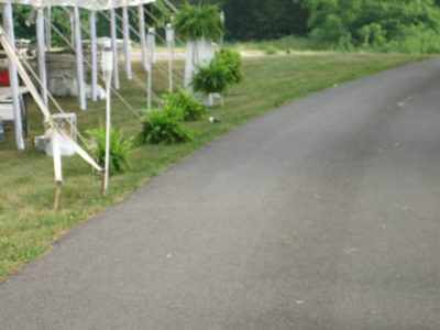 It's good luck when a baby skunk wanders through the...