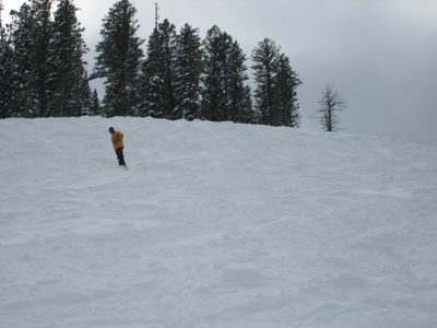 Jay cruising in the pow