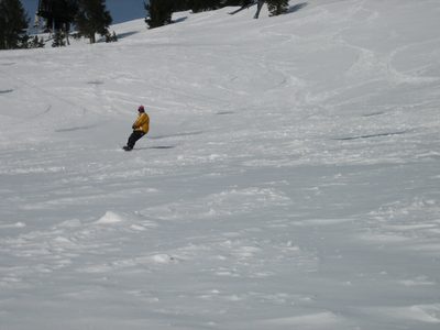 More fresh tracks