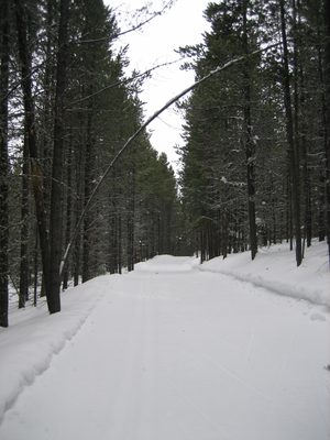 A lovely road to travel down (or up), eh?