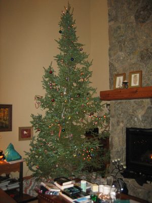 Our 14 ft. Christmas tree