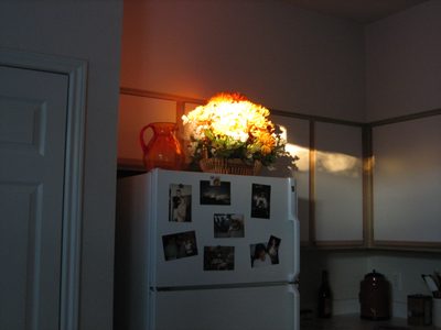 Light falling prettily on a basket of flowers Fran made for me.