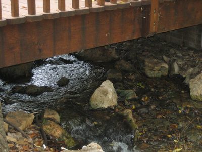 A view of the creek running through the garden, and one...