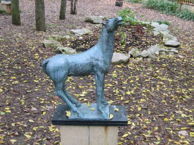 This one, entitled Young Horse, I didn't like as much.