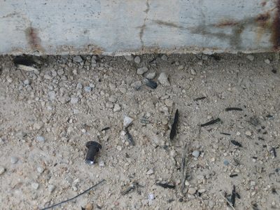 Half of the hseared bolt, next to the concrete anchor block.