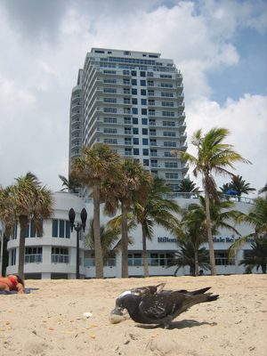 Our hotel