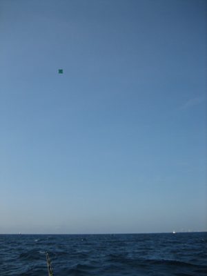 The kite, far away