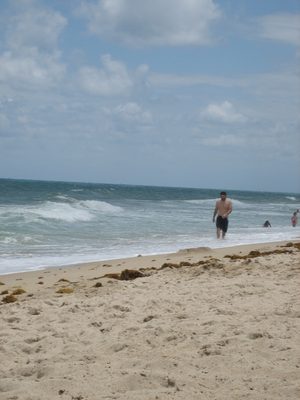 Jay on the beach
