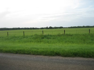 More fields of nothing.