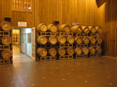 More barrels.  This room is actually used for parties;...