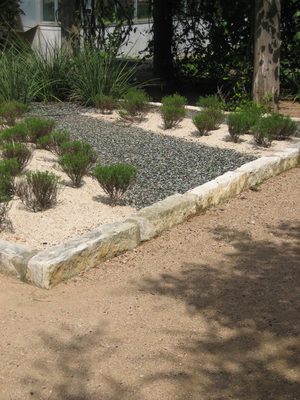 My favorite square of garden.  The dark "rocks" are...