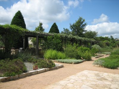 Looking down the row of experimental gardens.