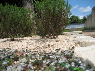 The view if I were an ant...