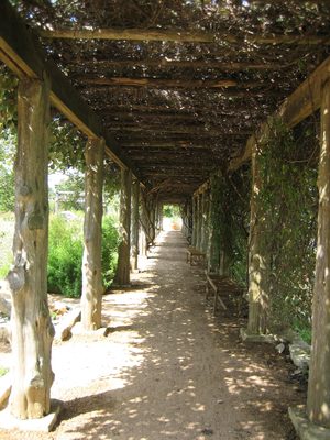 In Texas in August, it's nice to aim for the shade when walking.