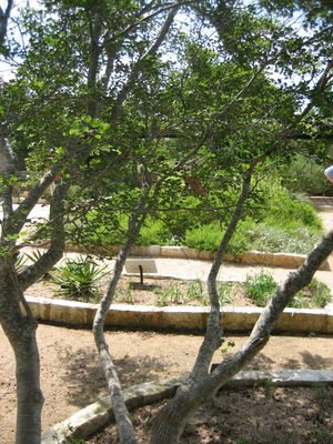 Gardens...