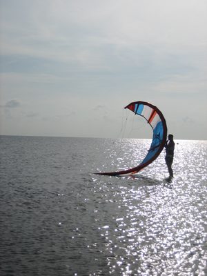 I believe that is Laura, helping launch the kite for ......