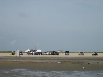 Our private little section of beach (and by "little", I...