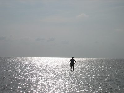 It's like she's walking on water...