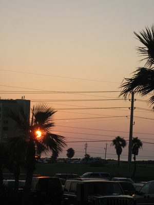 South Padre: land of palm trees, power and telephone...