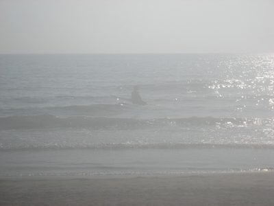 This is kind of eerie and also kind of awesome.  I have...