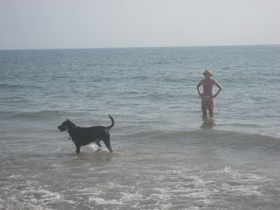 Pup and kiteboarding pro.