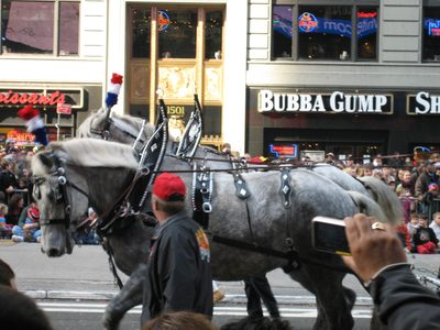 I want a gray pony like this one.  Also note how close...