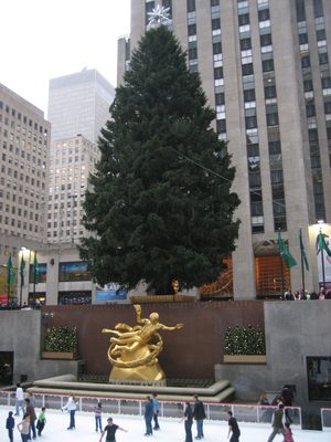 Rockefeller Christmas tree, not yet lit.