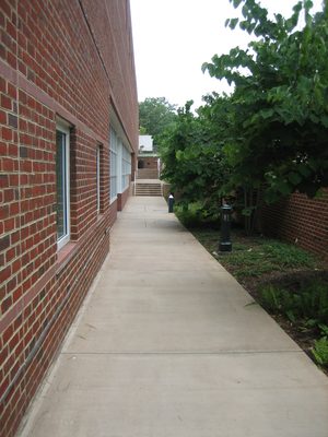 "My" sidewalk.  I checked the rebar, the forms, the soil...