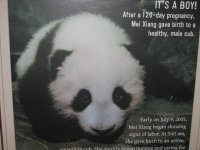 Then, many pictures of an adorable little squirt of a...