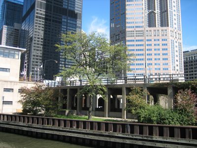 The base of 311 Wacker and the Sears Tower.  Again,...