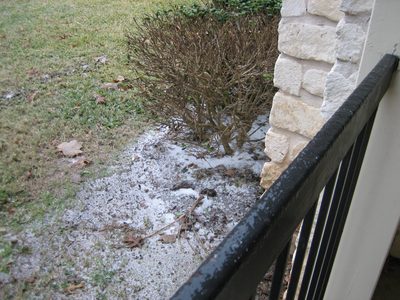 Icy porch rail + snow around trees and bushes.