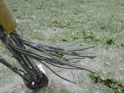 This was just neat, frozen or not - it's a support cable...