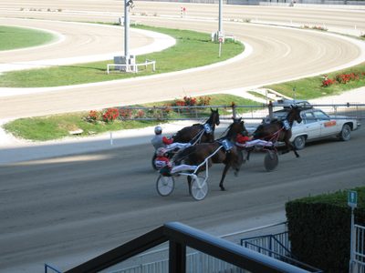 Like this, except with all the horses lined up.  They...