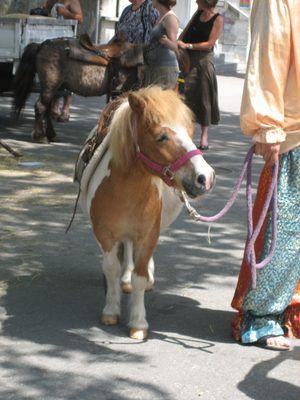 The pony I wanted to take home.  Unfortunately, that...