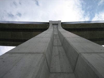 I want to start a collection of pictures looking up...