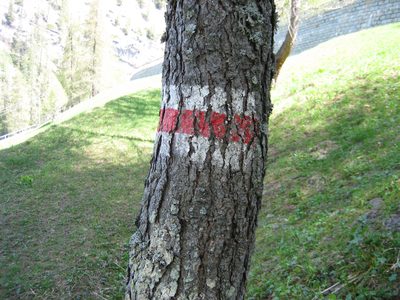 Our trail markers for the week... just about every trail...