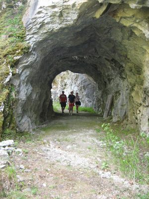 Walking through the tunnel.