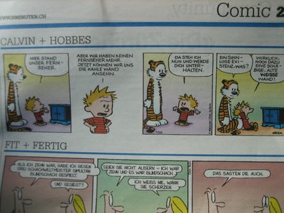 Calvin and Hobbes in German!