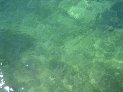 While I am confident the water was cold, the color made...