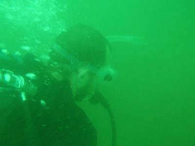 Here's Joel. The first day, we had three dives. On the...