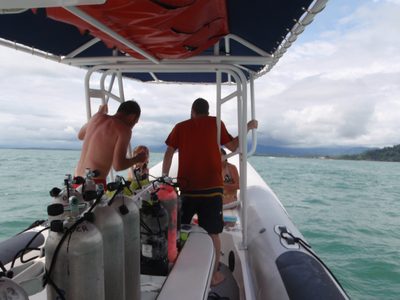 Headed back to shore.
