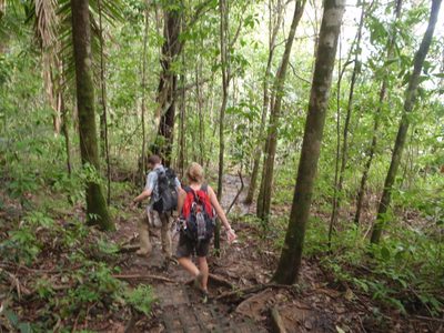 Still wandering through the jungle. Joel decided to go...