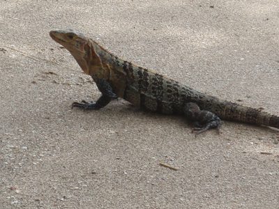 Posing for a photo.