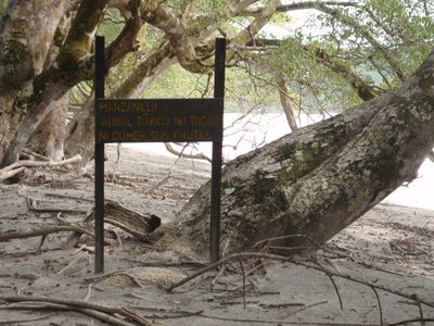 Scary things in the jungle that can kill you.